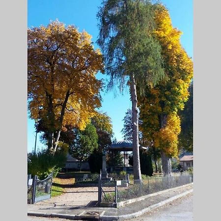 Maison Independ. 6 Personnes A 10 Mn De Gerardmer 沃洛格河畔格朗热 外观 照片