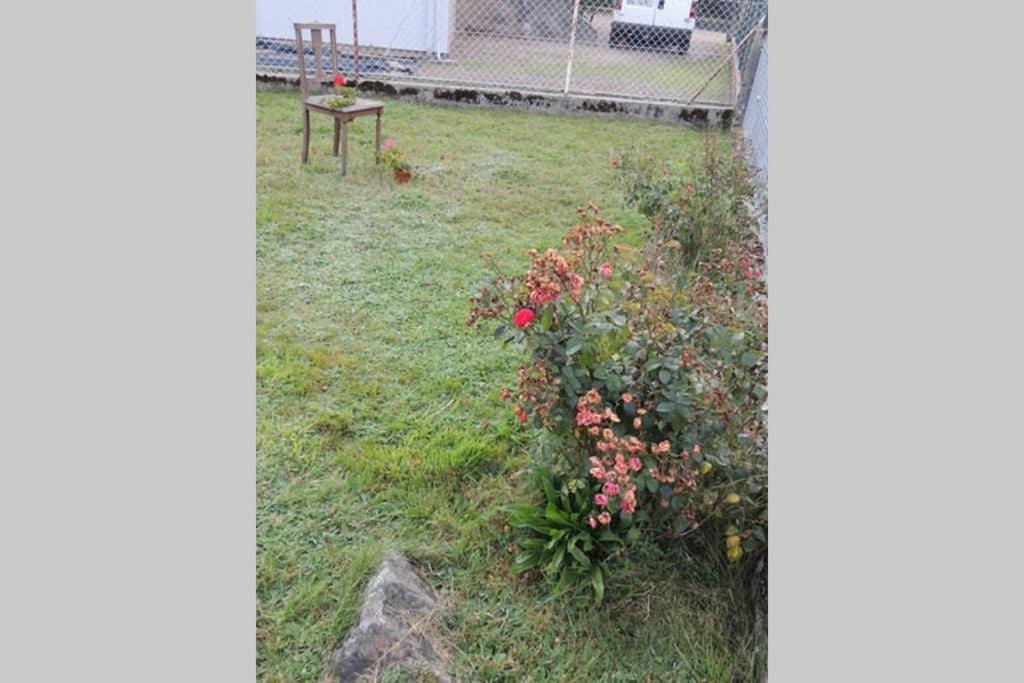 Maison Independ. 6 Personnes A 10 Mn De Gerardmer 沃洛格河畔格朗热 外观 照片